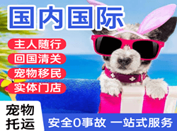 宁远机场快递国际宠物托运 【国